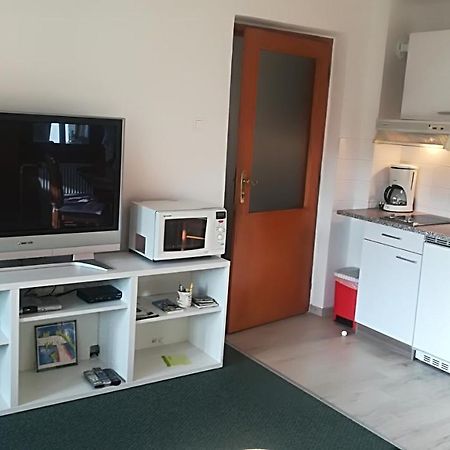 Apartments Pod Rodico ボヒニュスカ・ビストリツァ エクステリア 写真